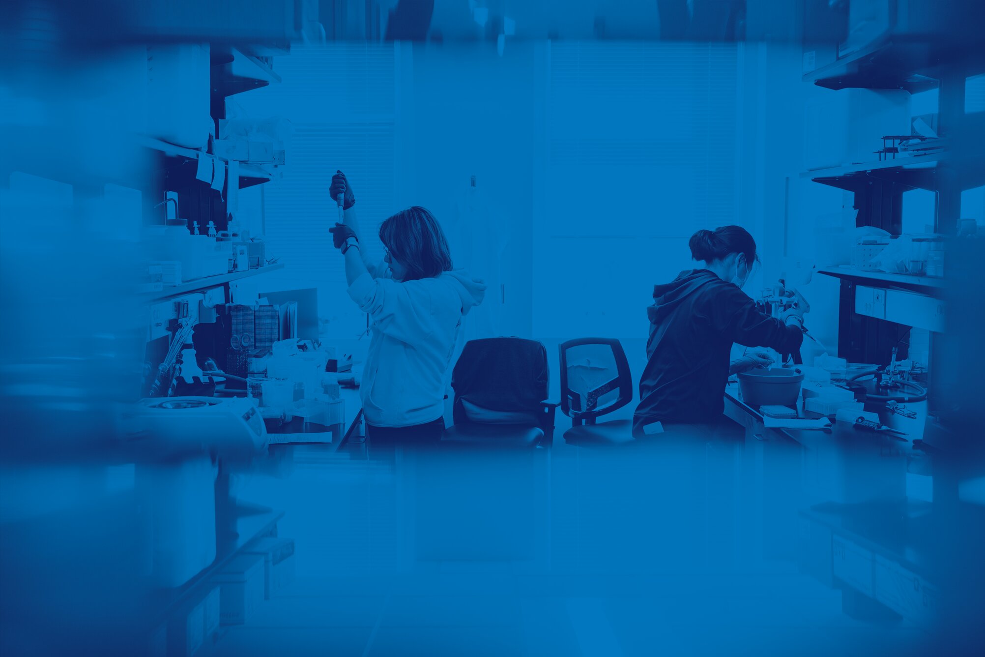 students conduct research in a lab